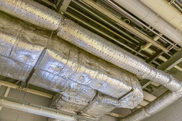 Best Air Duct Sanitizing Services  in USA